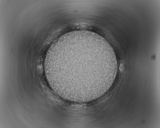 X0000114720771200912021154