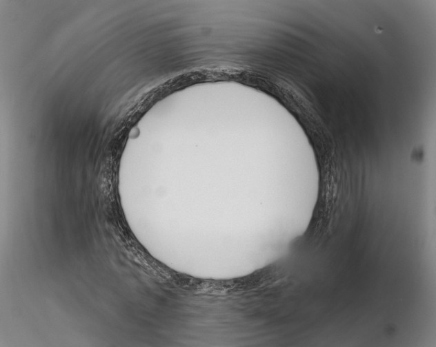 X0000114720773200912021154