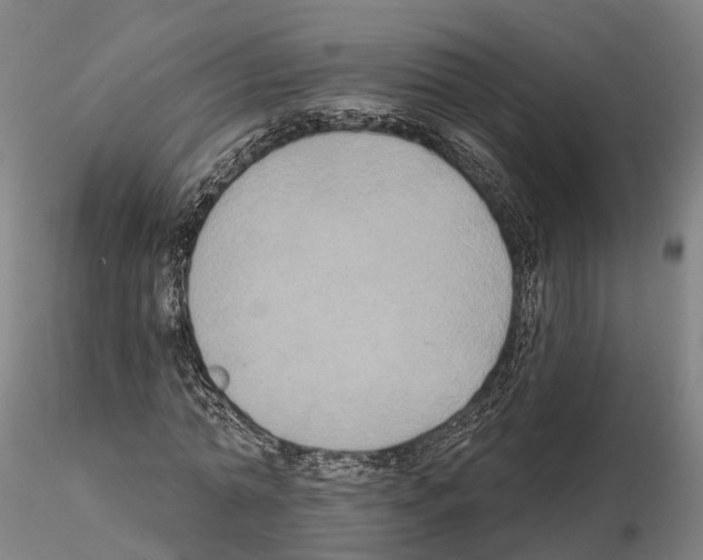 X0000114720774200912021154