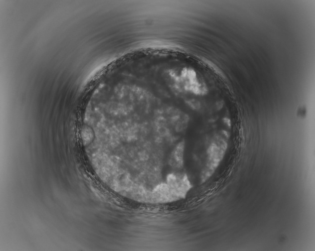 X0000114720775200912021154