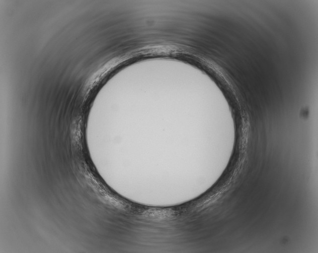 X0000114720778200912021153