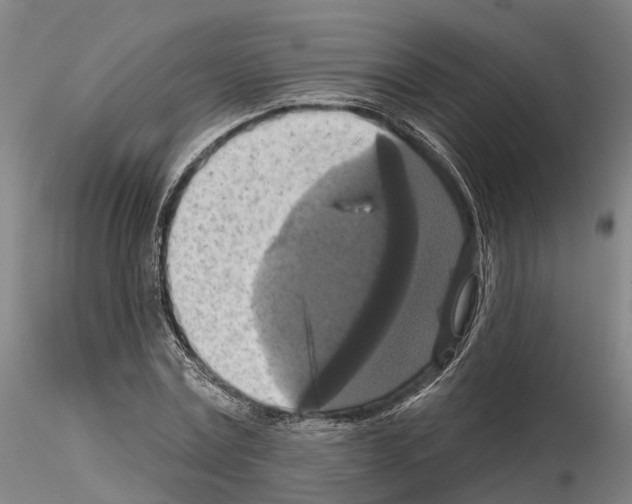 X0000114720779200912021153