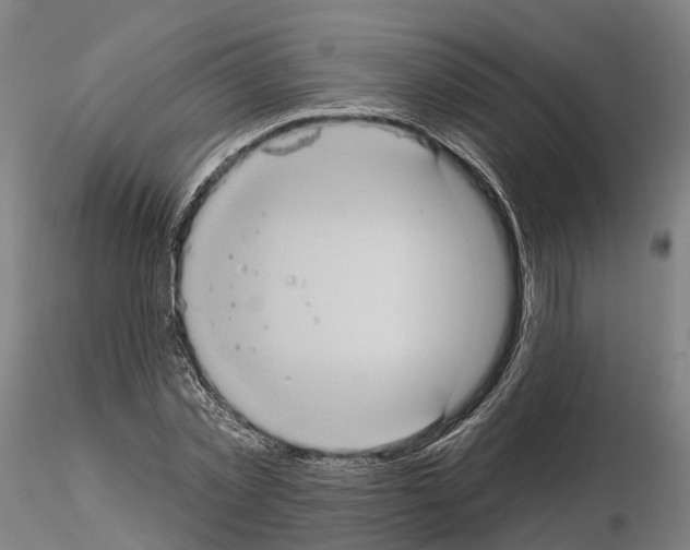 X0000114720781200912021153