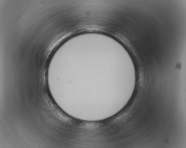 X0000114720782200912021153