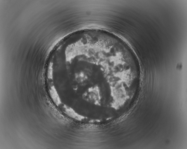 X0000114720783200912021153