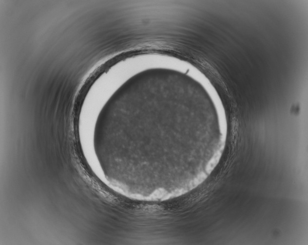 X0000114720784200912021153