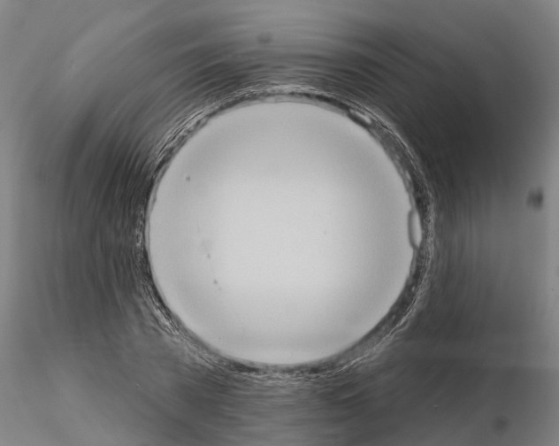 X0000114720785200912021153