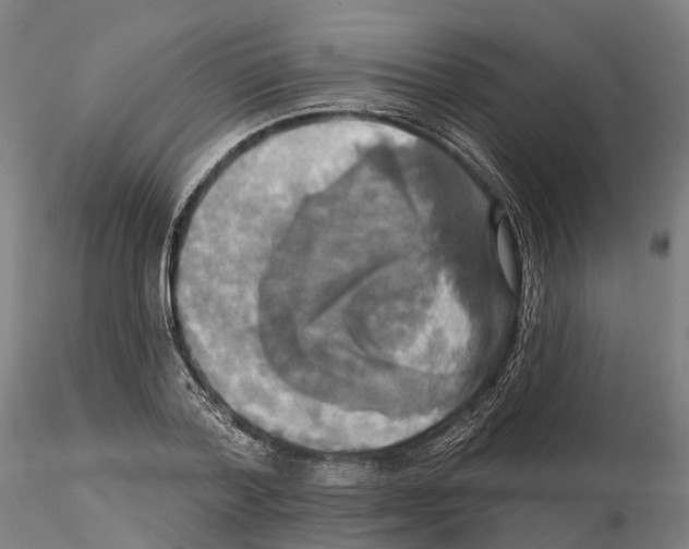 X0000114720788200912021153