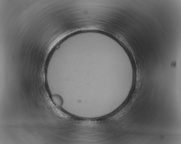 X0000114720789200912021153