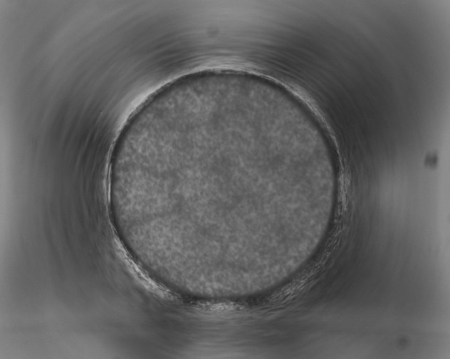 X0000114720791200912021153