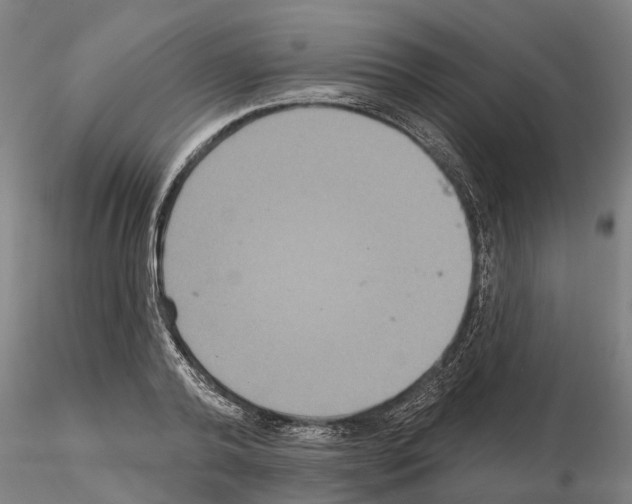 X0000114720792200912021153