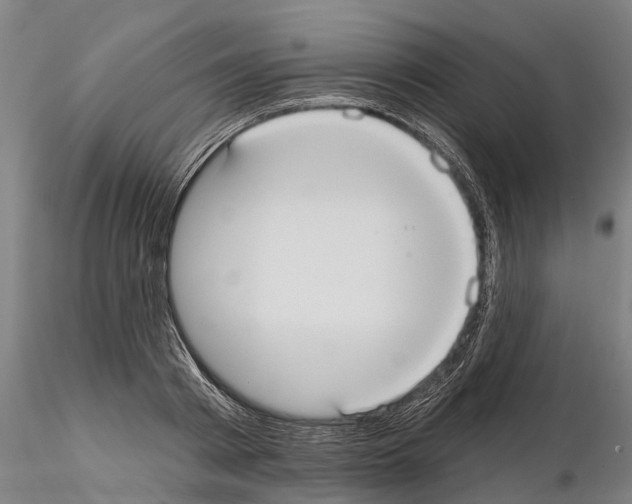 X0000114720793200912021153