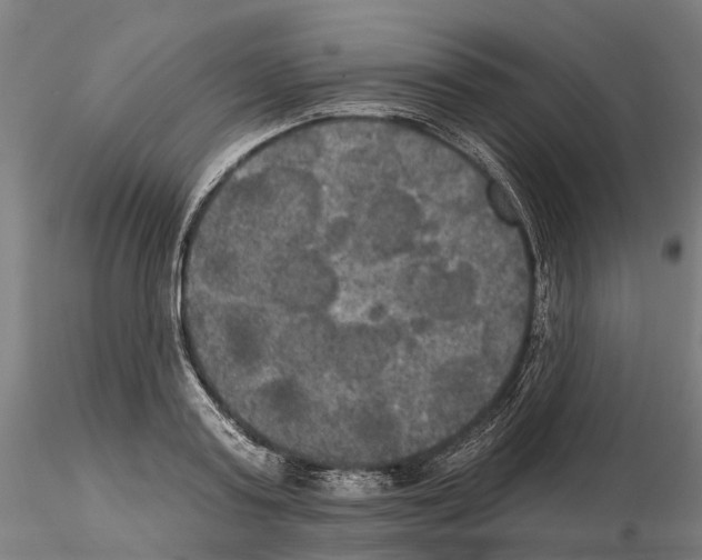 X0000114720795200912021153