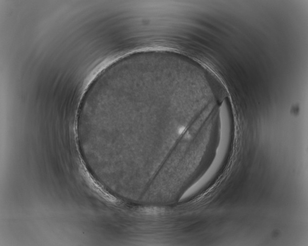 X0000114720797200912021153