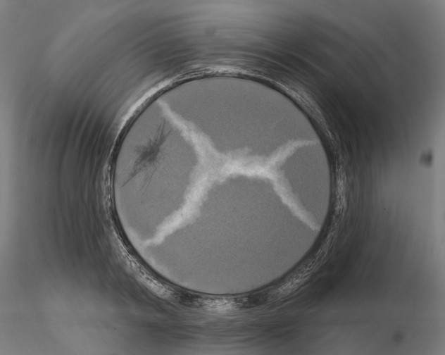 X0000114720798200912021153