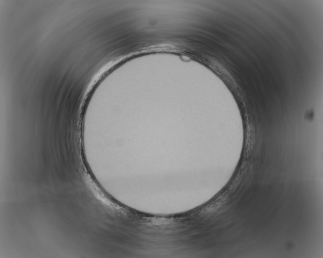 X0000114720800200912021153