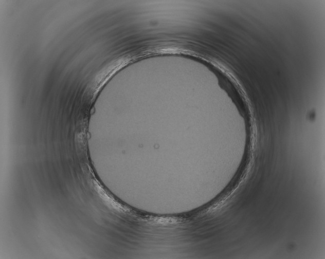 X0000114720801200912021153