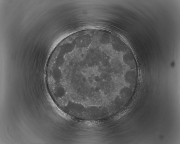 X0000114720803200912021153