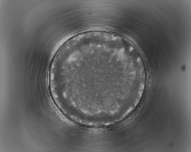 X0000114720804200912021153