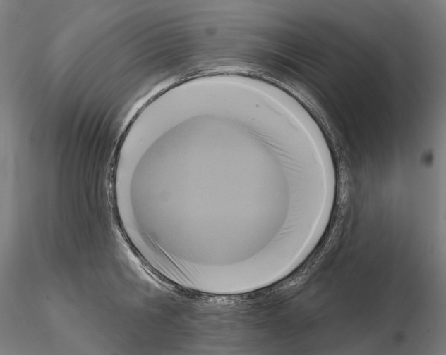 X0000114720806200912021153