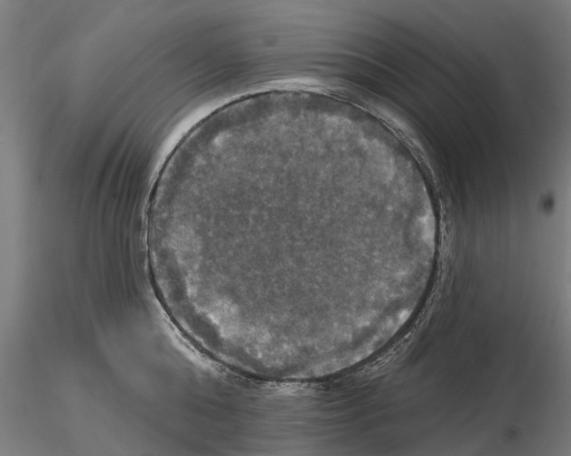 X0000114720808200912021153