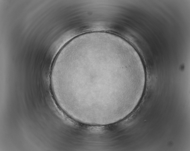 X0000114720810200912021153