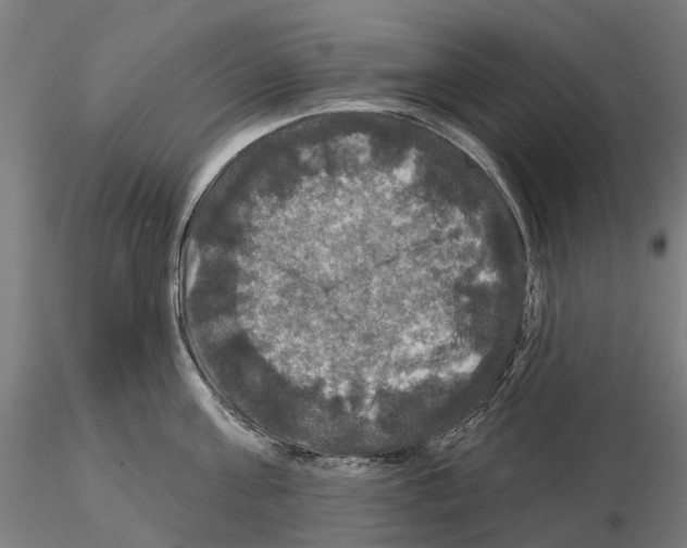 X0000114720811200912021153