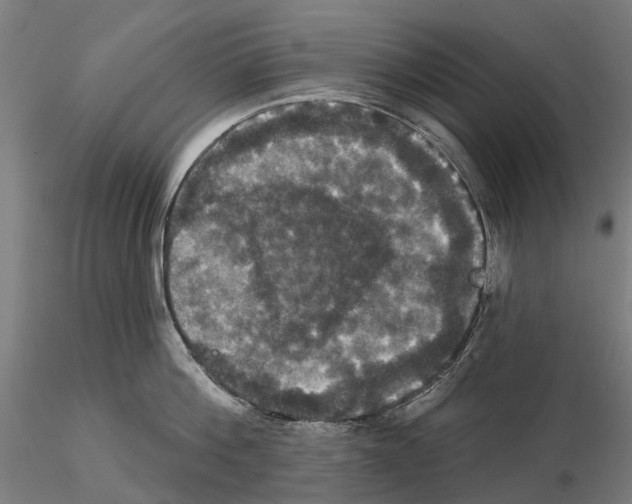 X0000114720812200912021153