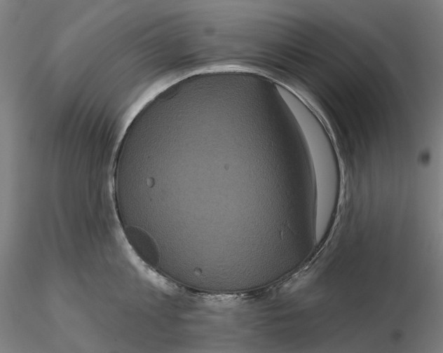 X0000114720813200912021153