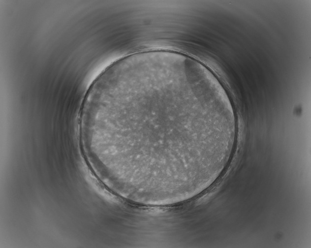 X0000114720814200912021153