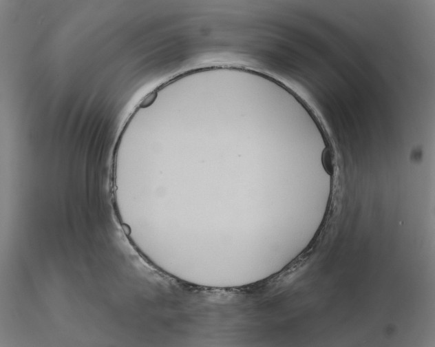 X0000114720815200912021153