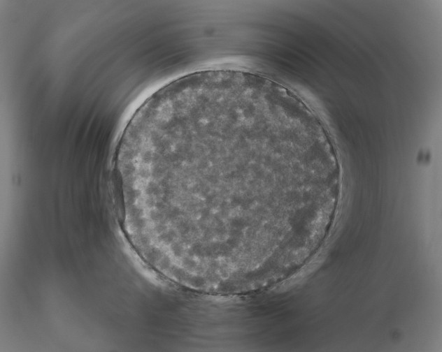 X0000114720816200912021153