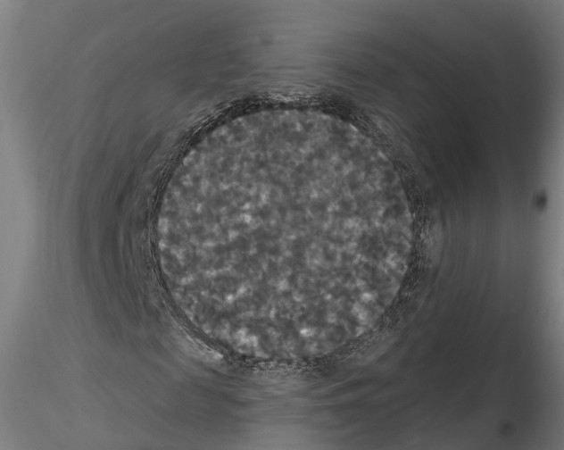 X0000114720817200912021152