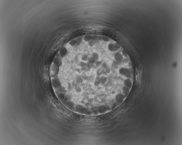 X0000114720819200912021152