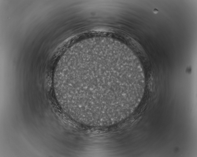 X0000114720821200912021152