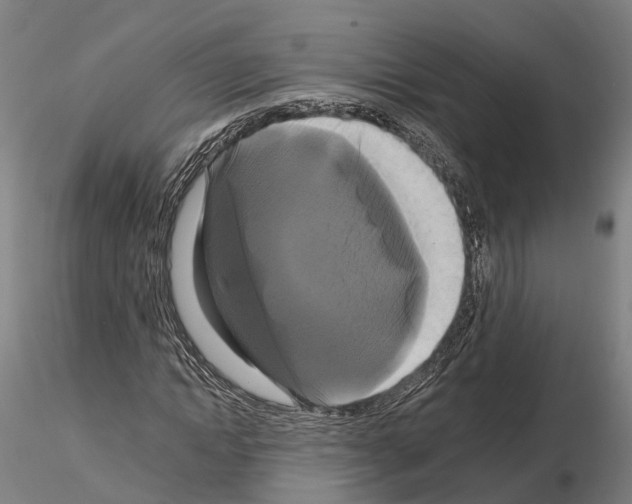 X0000114720822200912021152