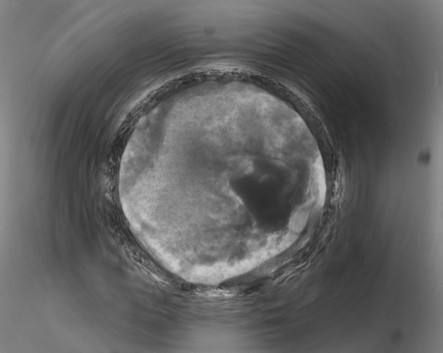 X0000114720823200912021152