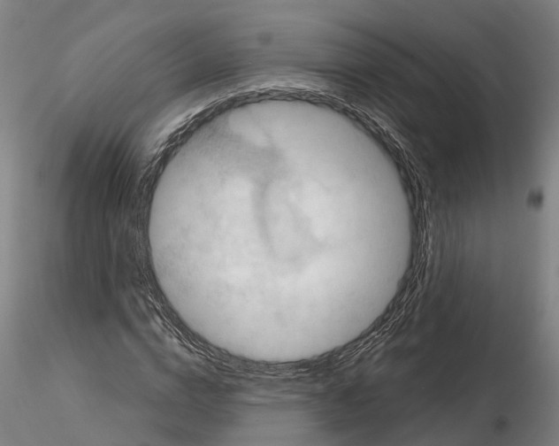 X0000114720824200912021152