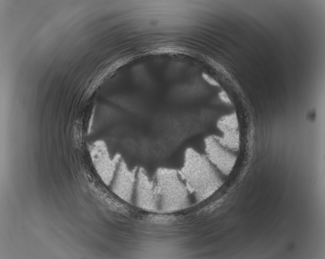 X0000114720825200912021152