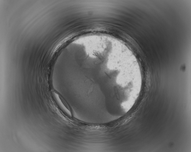 X0000114720826200912021152