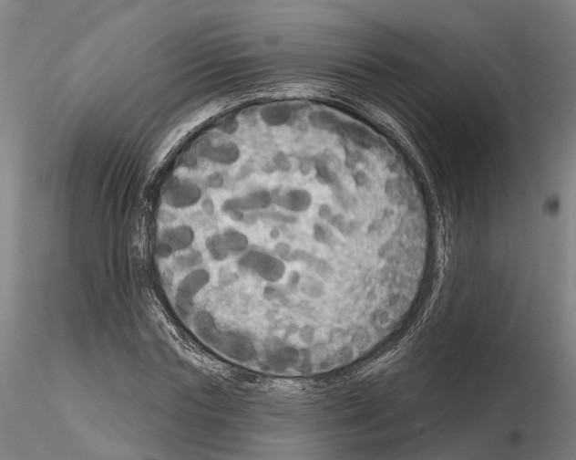 X0000114720827200912021152