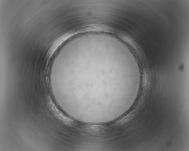 X0000114720828200912021152