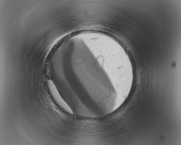 X0000114720830200912021152