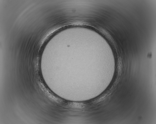 X0000114720831200912021152