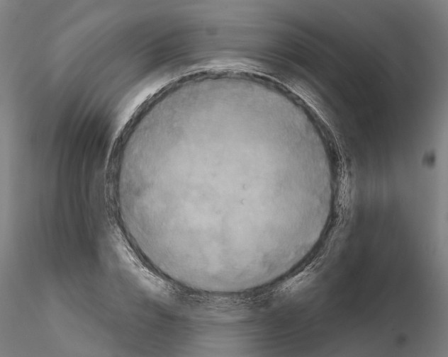 X0000114720832200912021152