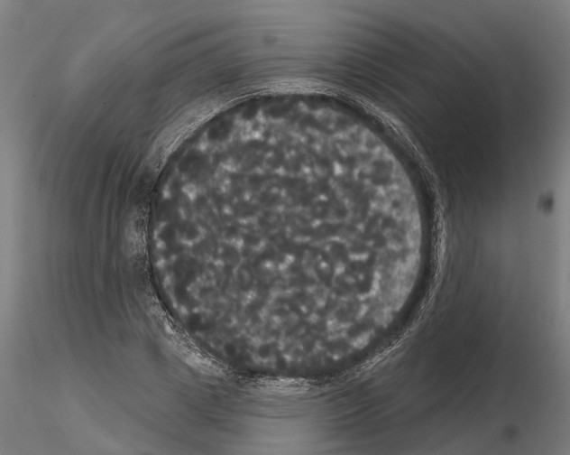 X0000114720833200912021152