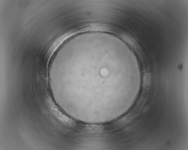 X0000114720836200912021153