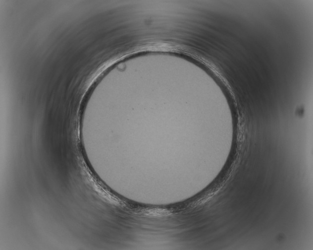 X0000114720837200912021153