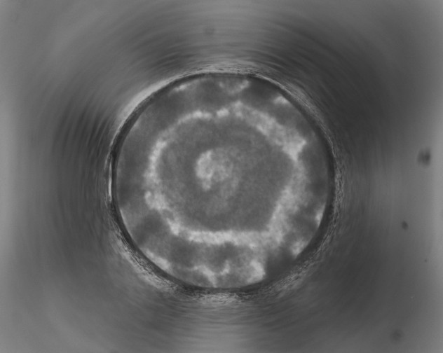 X0000114720838200912021153