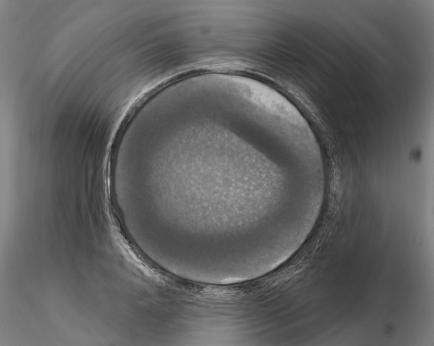 X0000114720840200912021153